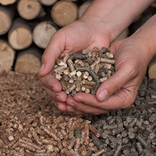 Hands holding a mix of hardwood pellets for grilling, with a background of stacked logs, representing Green Mountain Grills' quality grilling accessories.