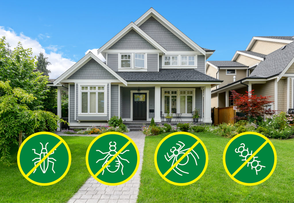 Pest Control Services: Your Trusted Partners in Pest Prevention and Eradication